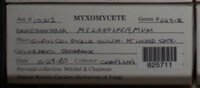 Image Associated With the Occurence